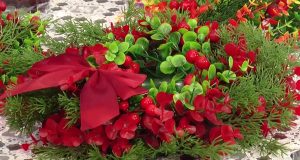 Rezultatele concursului ”Cununa Magică” 2025-2026